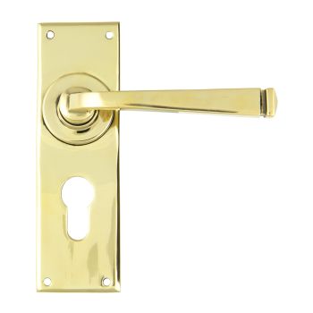 AVON LEVER HANDLE ON BACKPLATE